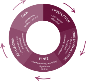 Cycle ingénieur d'affaires